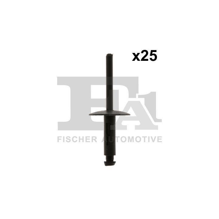 Aklinųjų kniedžių asortimentas FA1 10-20020.25