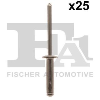 Aklinųjų kniedžių asortimentas FA1 33-20009.25