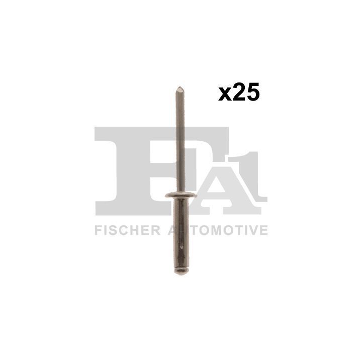 Aklinųjų kniedžių asortimentas FA1 33-20009.25