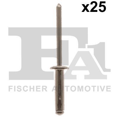 Aklinųjų kniedžių asortimentas FA1 33-20009.25