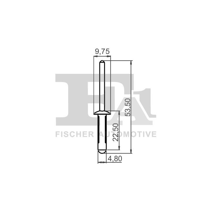 Aklinųjų kniedžių asortimentas FA1 33-20009.25