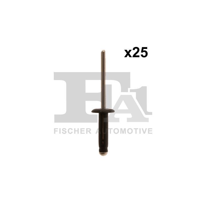 Kėbulo laikomųjų spaustukų rinkinys FA1 22-20002.25