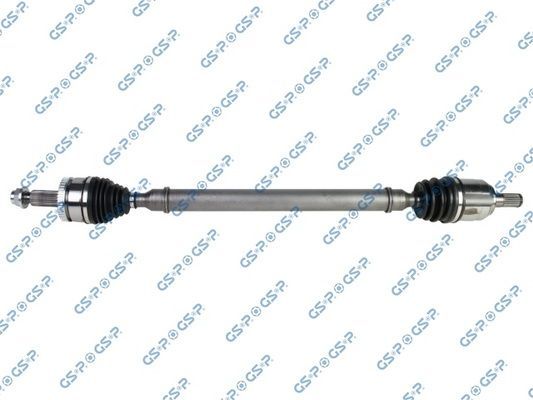 Pusašis GSP 201254