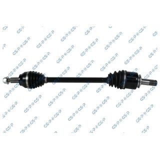 Pusašis GSP 202345OL