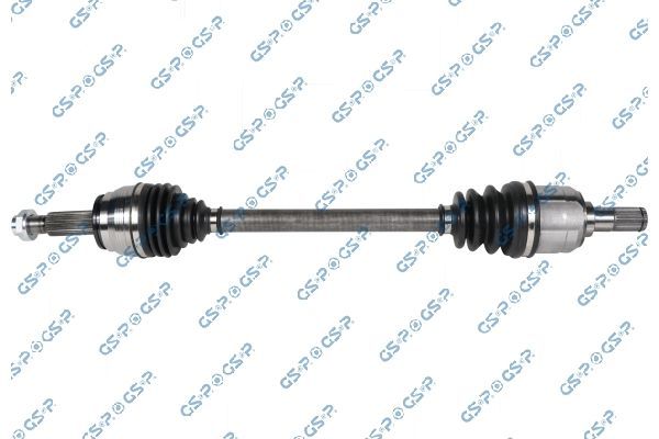 Pusašis GSP 204185