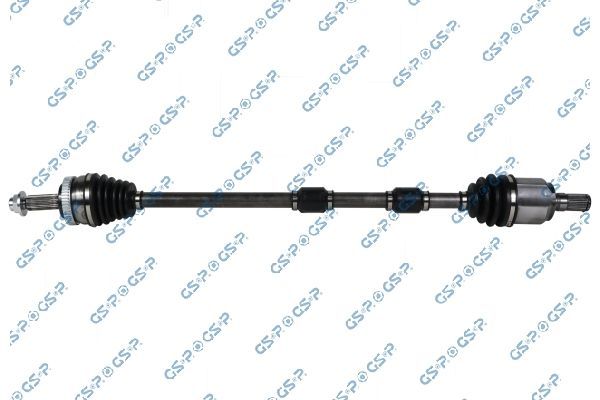 Pusašis GSP 204360