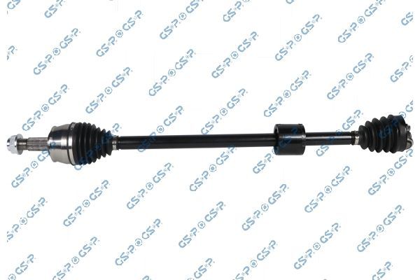 Pusašis GSP 204382