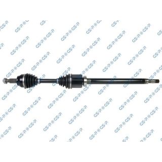Pusašis GSP 218409OL