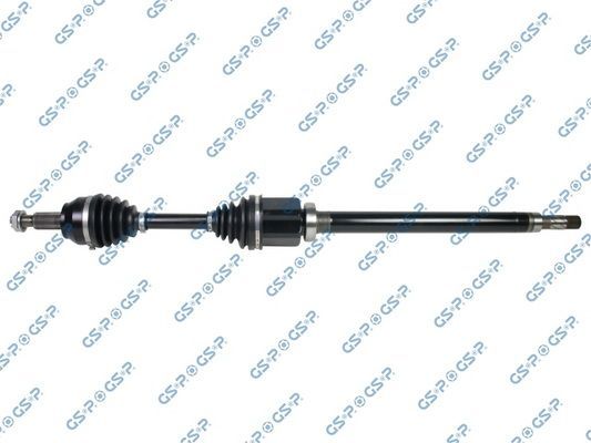Pusašis GSP 218409OL