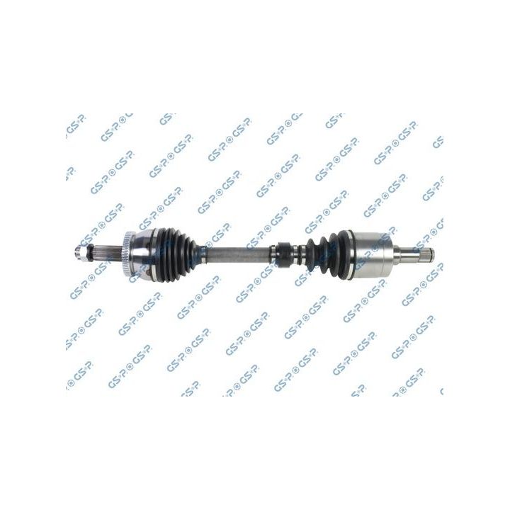 Pusašis GSP 224195