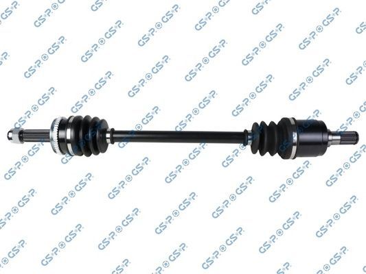 Pusašis GSP 224520