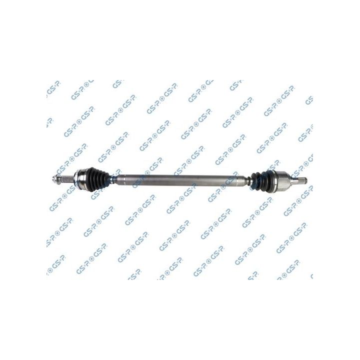 Pusašis GSP 224521