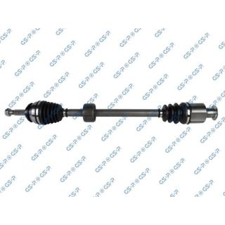 Pusašis GSP 245085