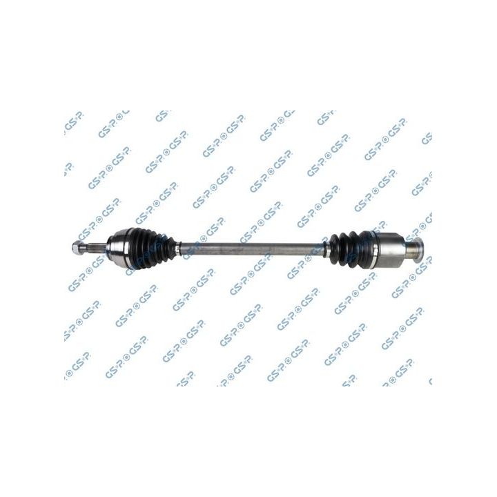 Pusašis GSP 250125