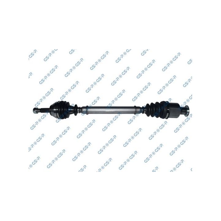 Pusašis GSP 250151