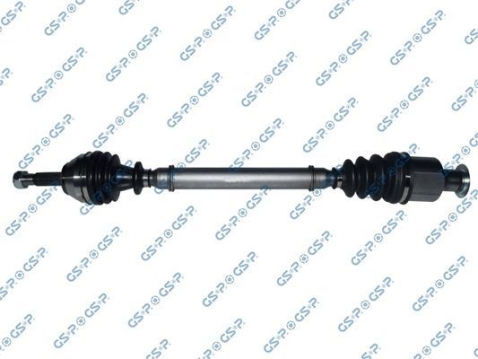 Pusašis GSP 250151