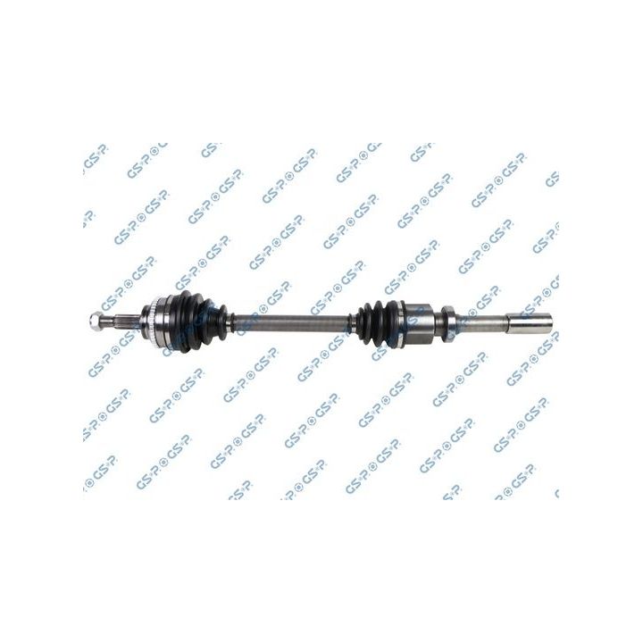 Pusašis GSP 250156