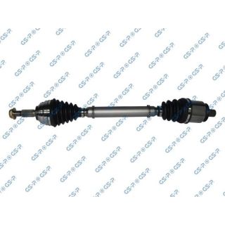 Pusašis GSP 250255