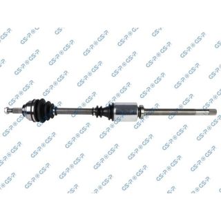 Pusašis GSP 250268