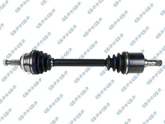 Pusašis GSP 250271