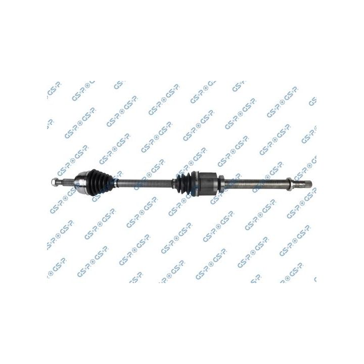 Pusašis GSP 250348