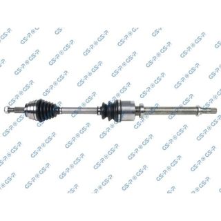 Pusašis GSP 250375
