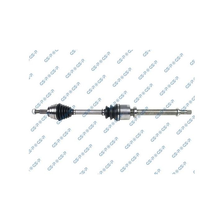 Pusašis GSP 250375