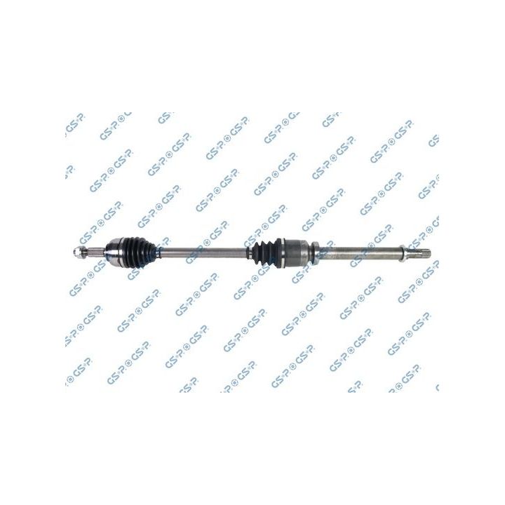 Pusašis GSP 250541