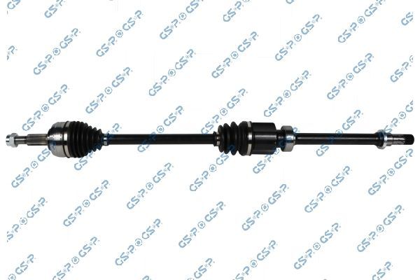 Pusašis GSP 250555