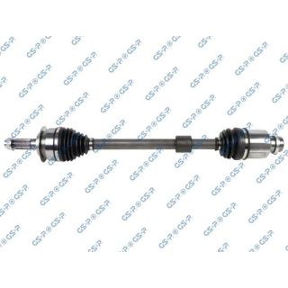 Pusašis GSP 257300