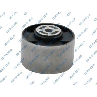 Variklio montavimas GSP 510668