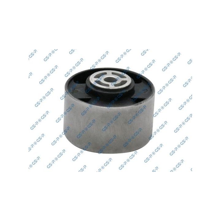 Variklio montavimas GSP 510668