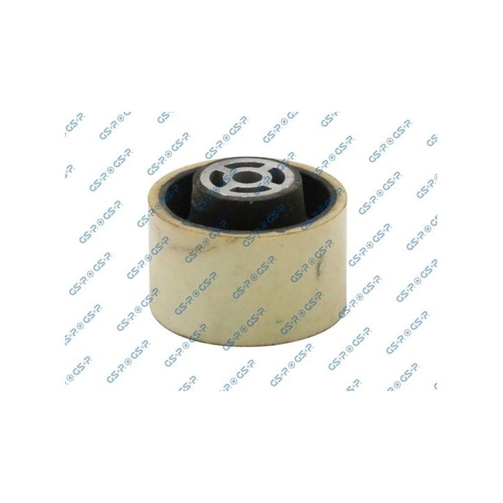 Variklio montavimas GSP 510734