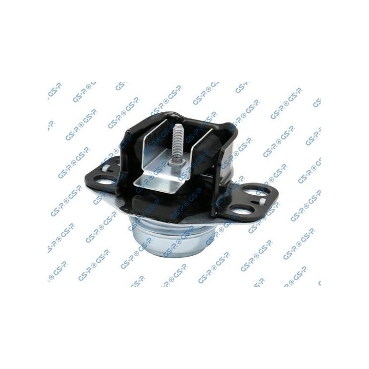 Variklio montavimas GSP 510749