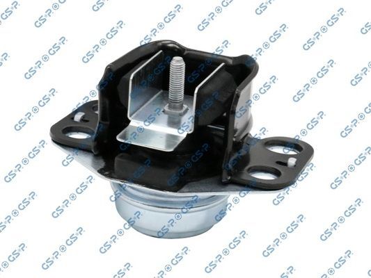 Variklio montavimas GSP 510749