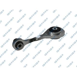 Variklio montavimas GSP 510760