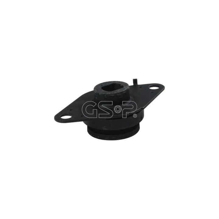 Variklio montavimas GSP 510783