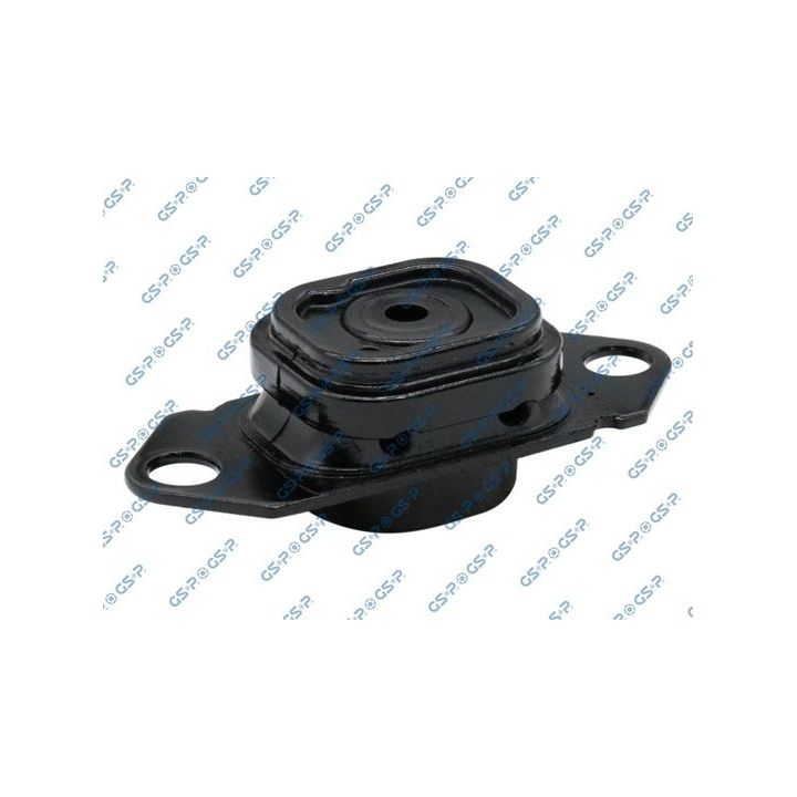 Variklio montavimas GSP 510790