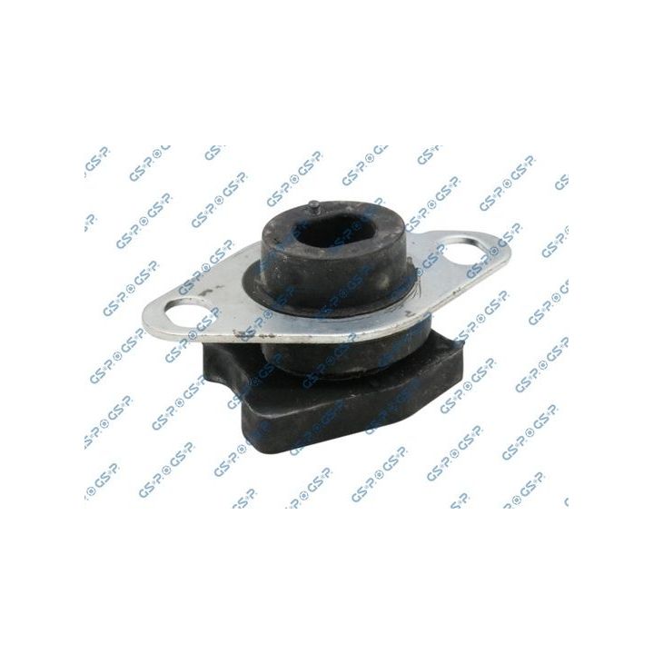 Variklio montavimas GSP 510791