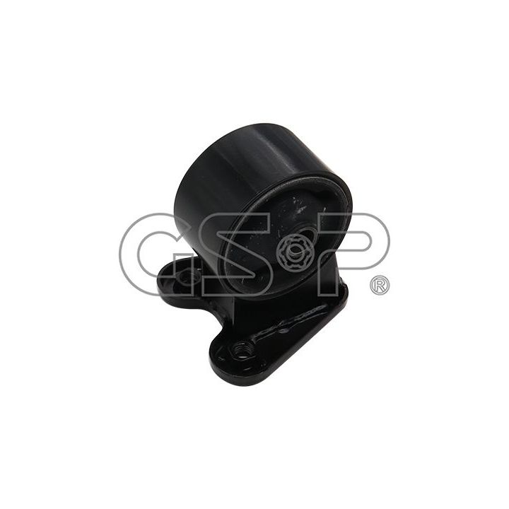 Variklio montavimas GSP 510973