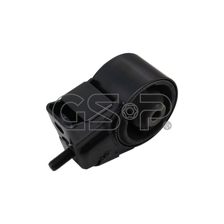 Variklio montavimas GSP 511184