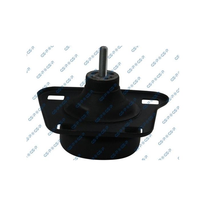 Variklio montavimas GSP 511386