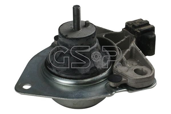 Variklio montavimas GSP 511503