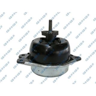 Variklio montavimas GSP 511508