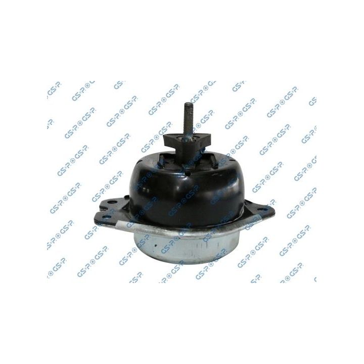 Variklio montavimas GSP 511508