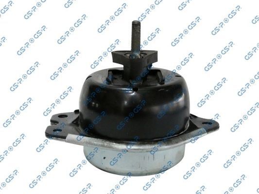 Variklio montavimas GSP 511508