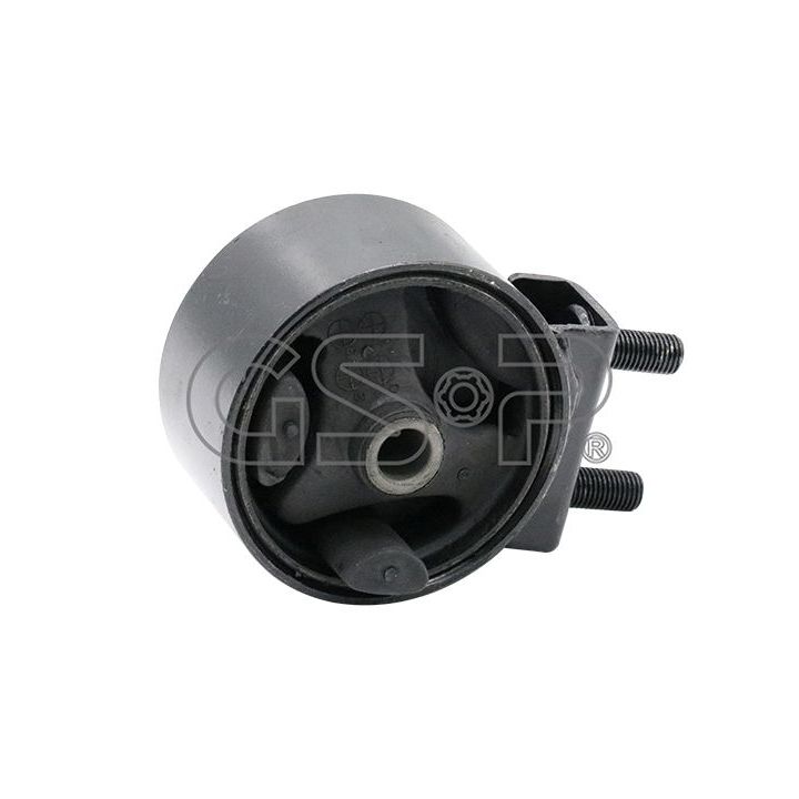 Variklio montavimas GSP 511806