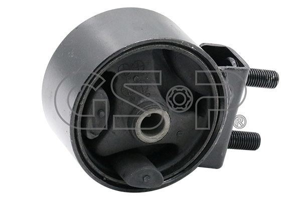 Variklio montavimas GSP 511806