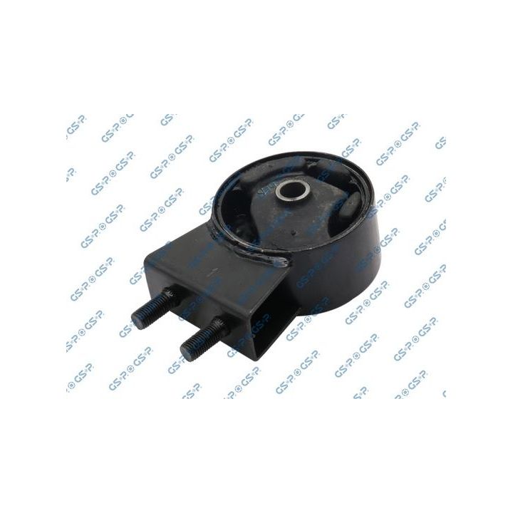 Variklio montavimas GSP 511811