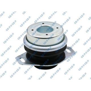 Variklio montavimas GSP 511931